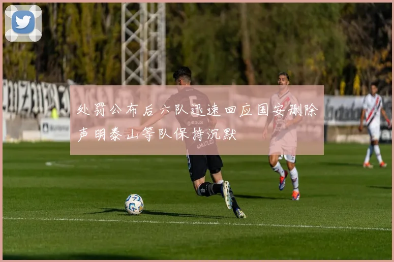 处罚公布后六队迅速回应国安删除声明泰山等队保持沉默